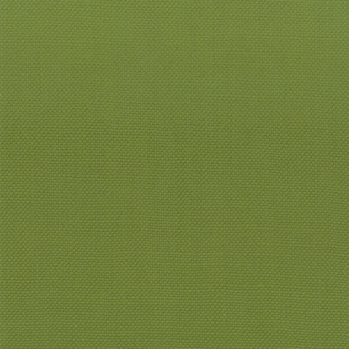 Stout STANFORD LIME Fabric