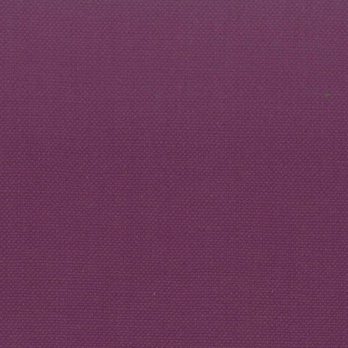 Stout STANFORD VIOLET Fabric