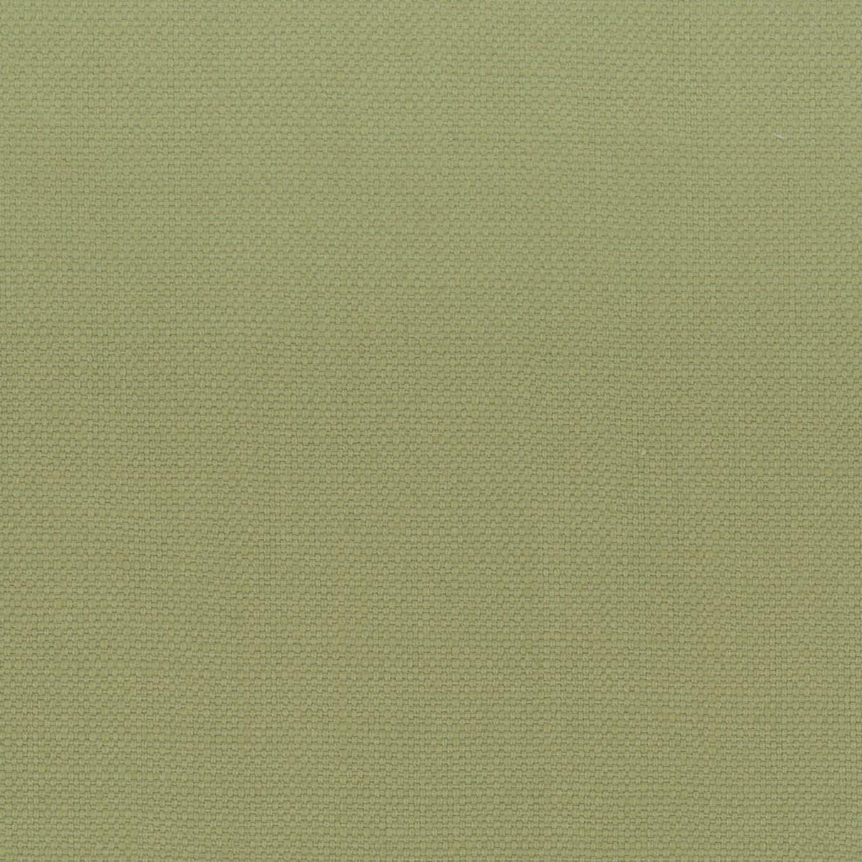 Stout STANFORD PISTACHIO Fabric