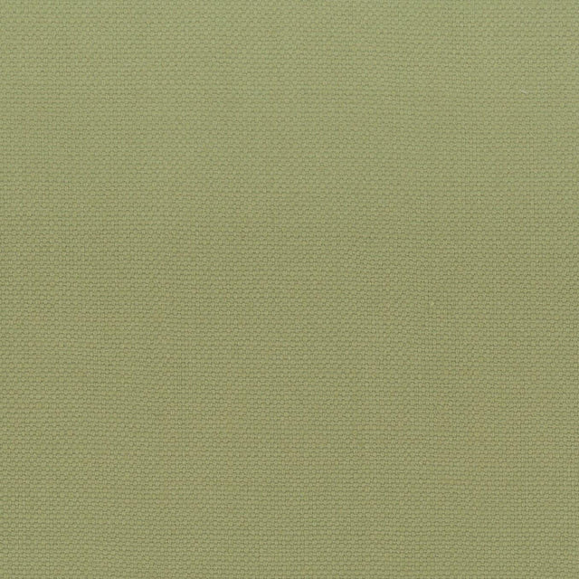 Stout STANFORD PISTACHIO Fabric