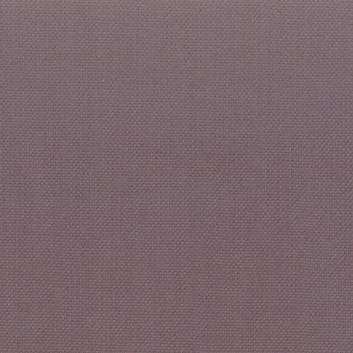 Stout STANFORD FOXGLOVE Fabric