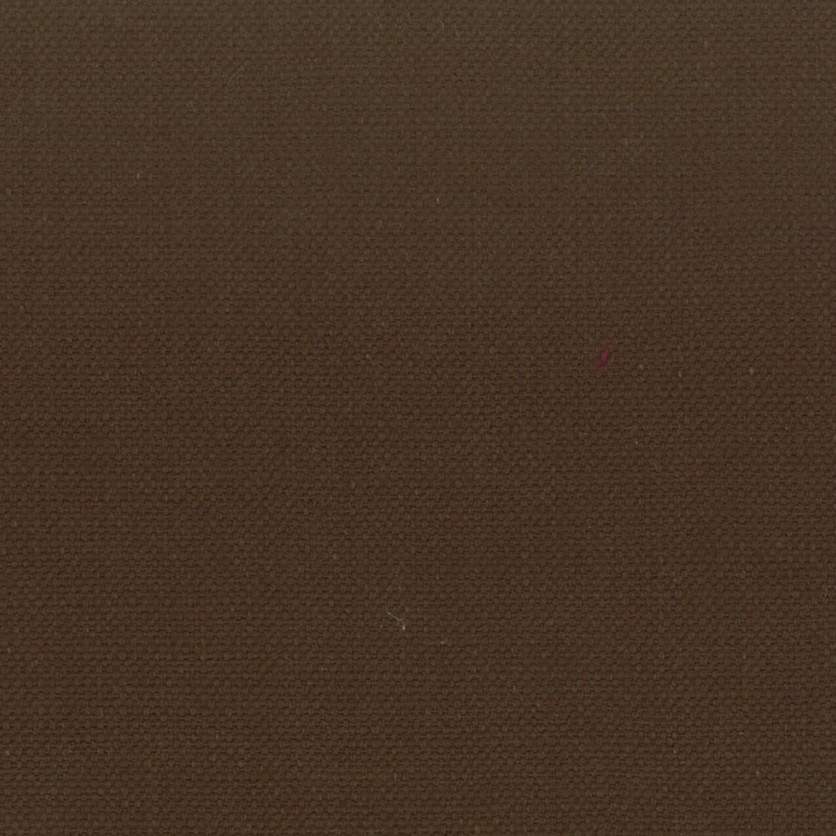 Stout STANFORD ROOTBEER Fabric