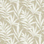 Maxwell VERDI CORK (WP) #03 Wallpaper