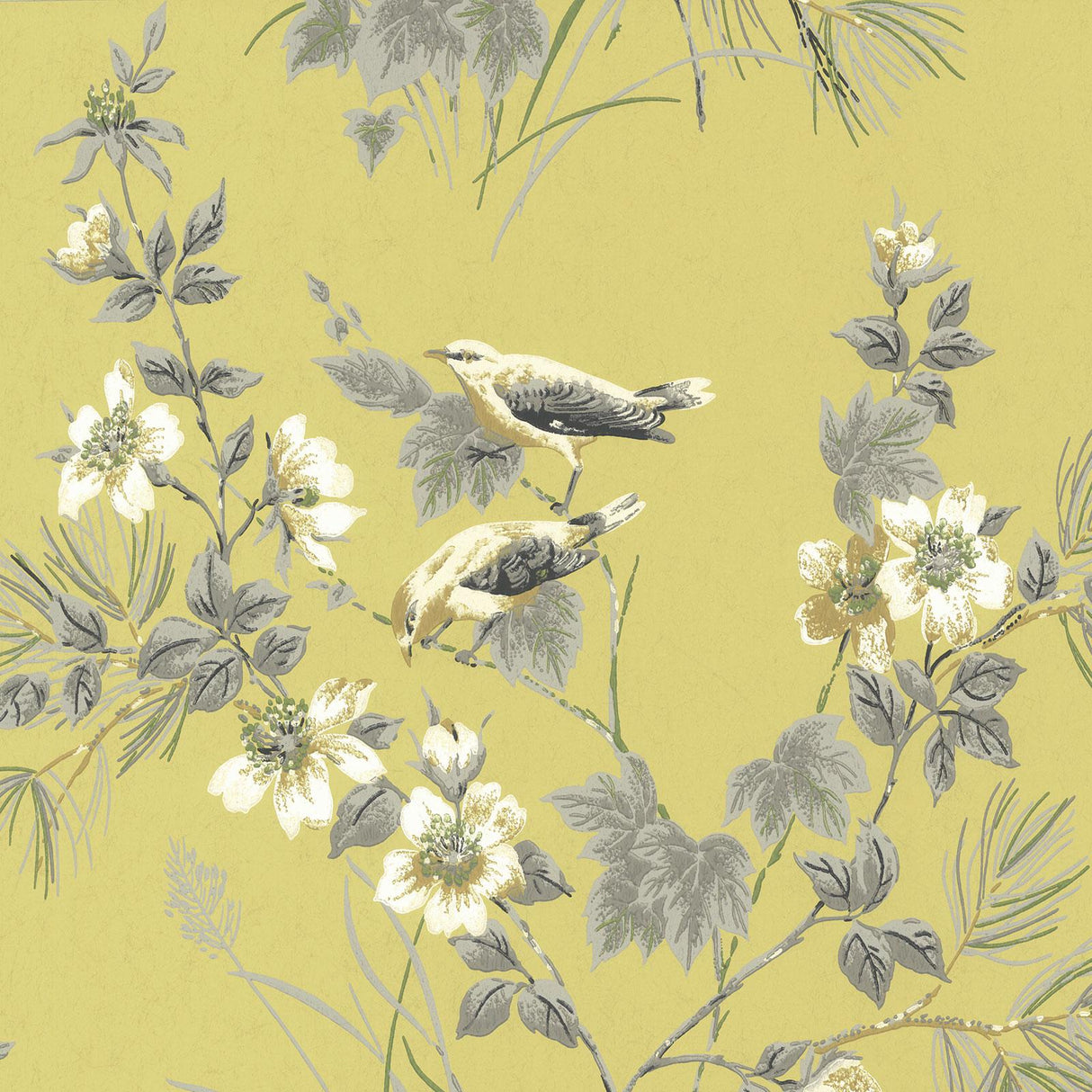 Maxwell ROSEMORE (WP) #01 Wallpaper