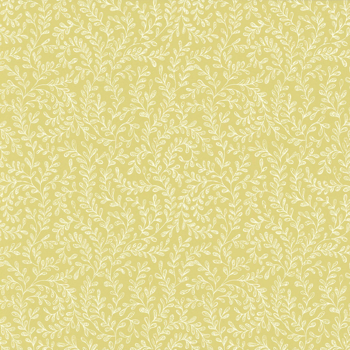 Maxwell AUDLEY (WP) #01 Wallpaper
