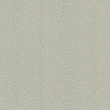 Maxwell KEW (WP) #04 Wallpaper