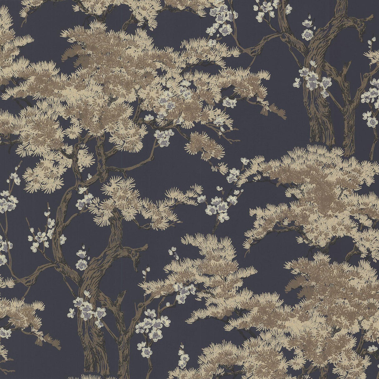 Maxwell HAREWOOD (WP) #05 Wallpaper