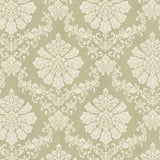 Maxwell BROUGHTON (WP) #03 Wallpaper