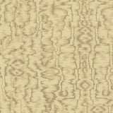 Maxwell AVINGTON (WP) #03 Wallpaper