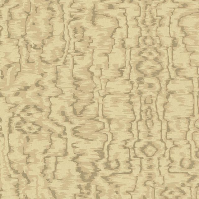 Maxwell AVINGTON (WP) #03 Wallpaper