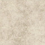 Maxwell FENTON (WP) #04 TAUPE Wallpaper