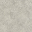 Maxwell FENTON (WP) #05 SILVER Wallpaper