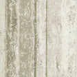 Maxwell LINEA (WP) #03 Wallpaper