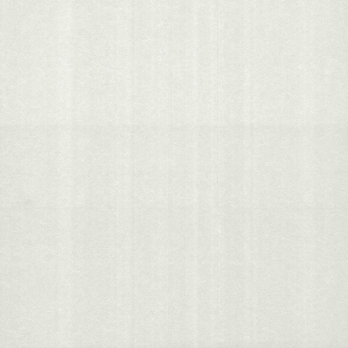 Maxwell CARLA (WP) #01 Wallpaper