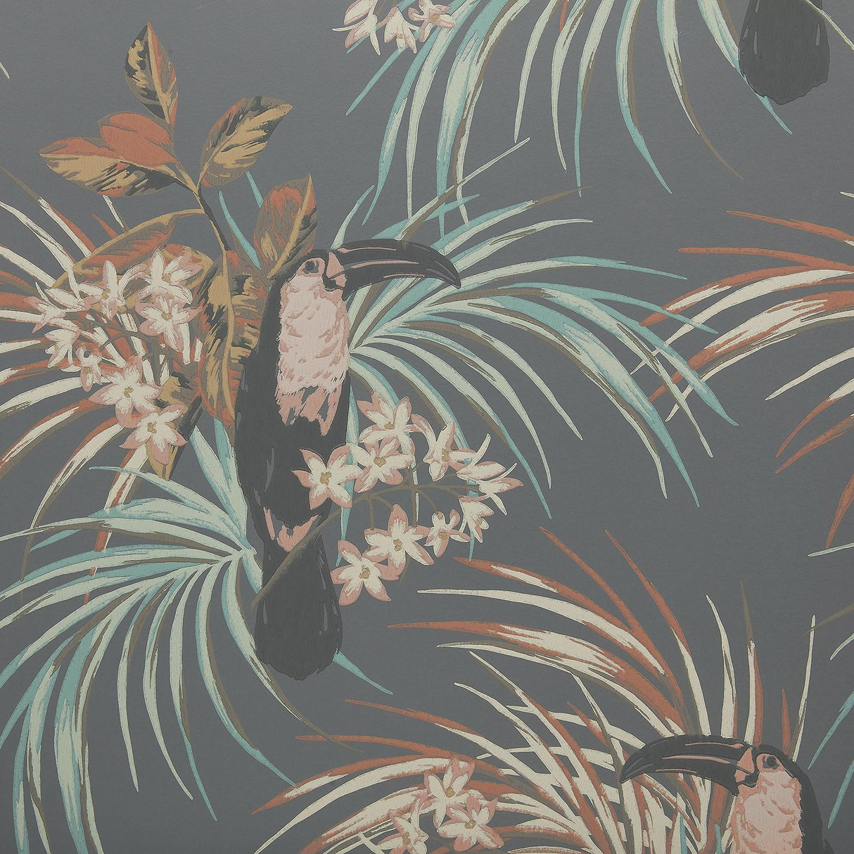 Maxwell LE TOUCAN (WP) #05 CHARCOAL Wallpaper