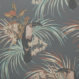 Maxwell LE TOUCAN (WP) #05 CHARCOAL Wallpaper