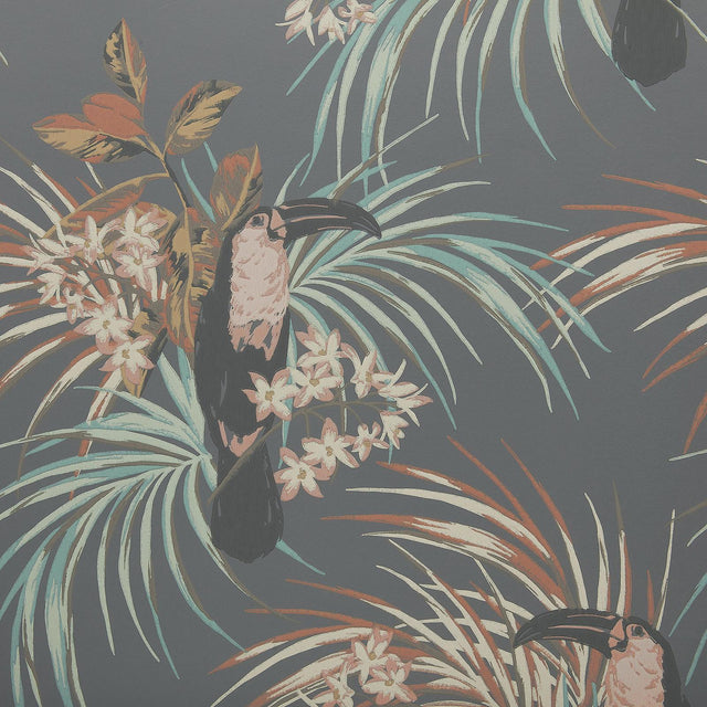 Maxwell LE TOUCAN (WP) #05 CHARCOAL Wallpaper