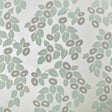 Maxwell ROSETTA (WP) #04 NEO MINT Wallpaper