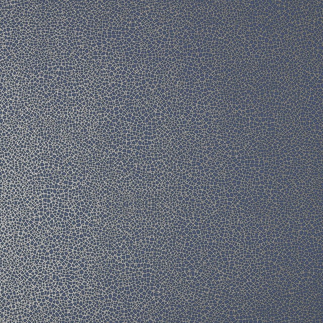 Maxwell EMILE (WP) #01 MIDNIGHT Wallpaper