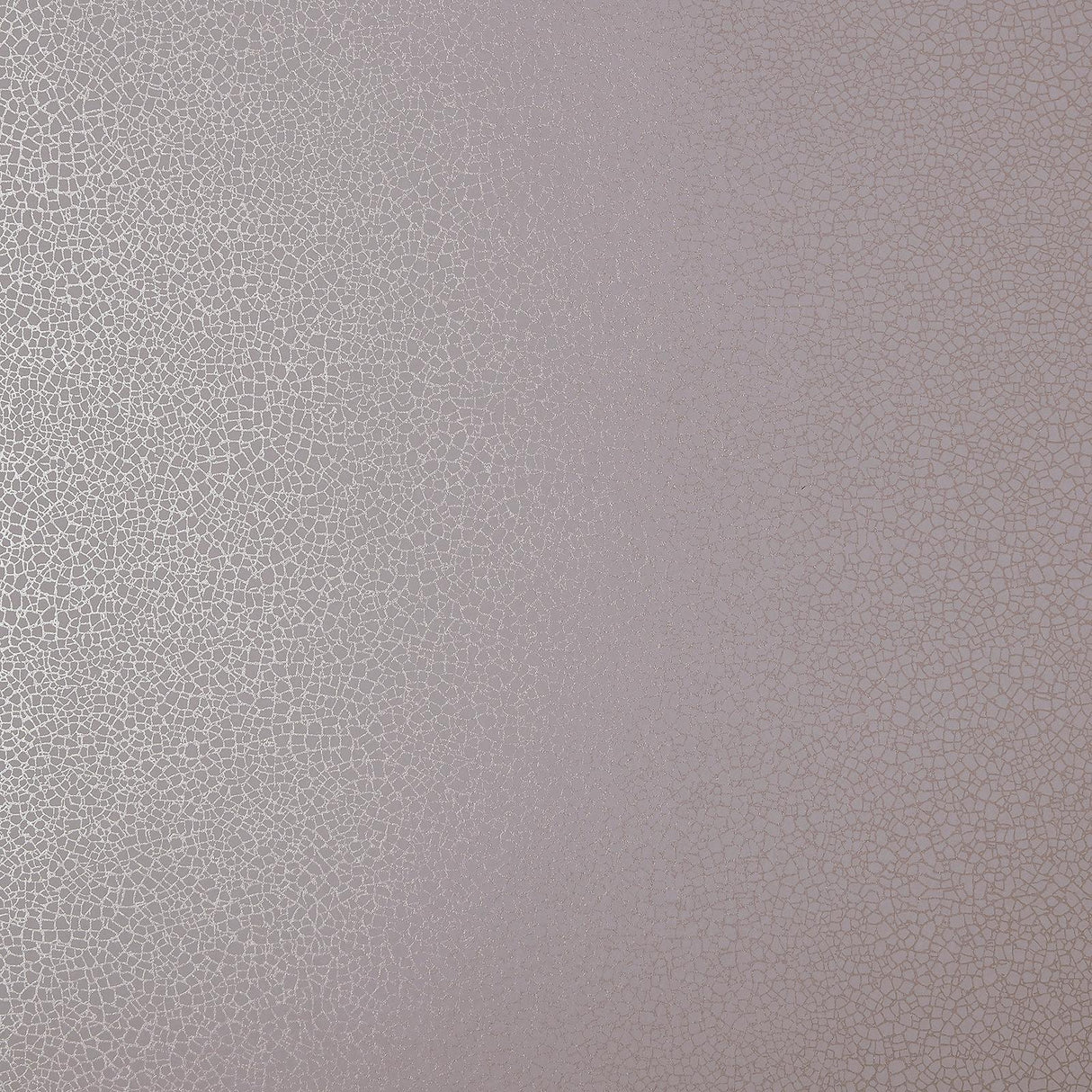 Maxwell EMILE (WP) #02 ROSE Wallpaper