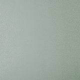 Maxwell EMILE (WP) #05 NEO MINT Wallpaper