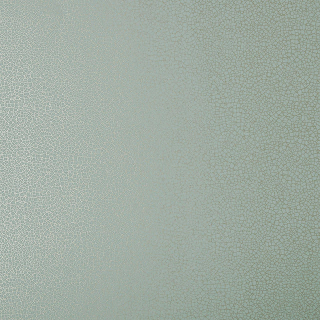 Maxwell EMILE (WP) #05 NEO MINT Wallpaper