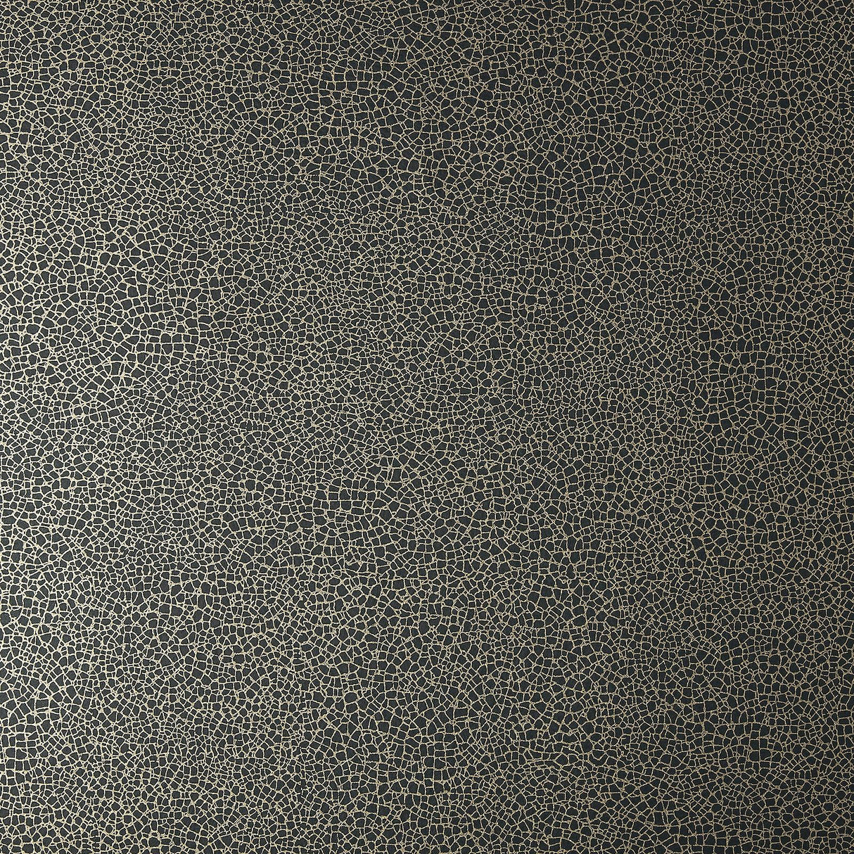 Maxwell EMILE (WP) #06 JET Wallpaper