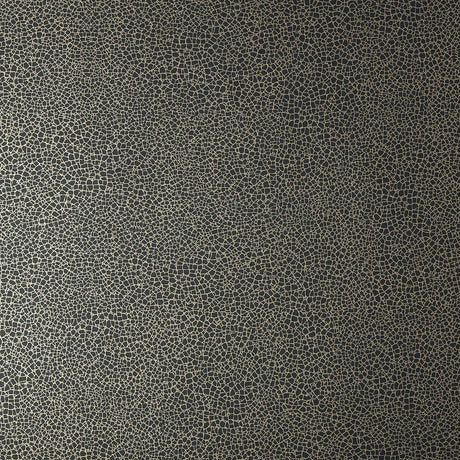 Maxwell EMILE (WP) #06 JET Wallpaper