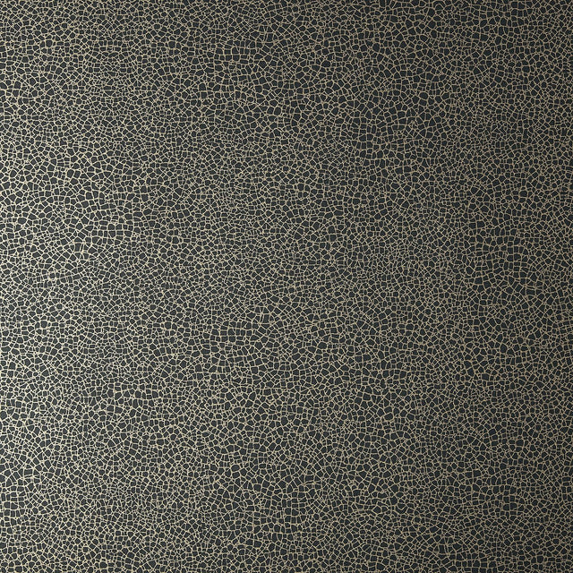 Maxwell EMILE (WP) #06 JET Wallpaper