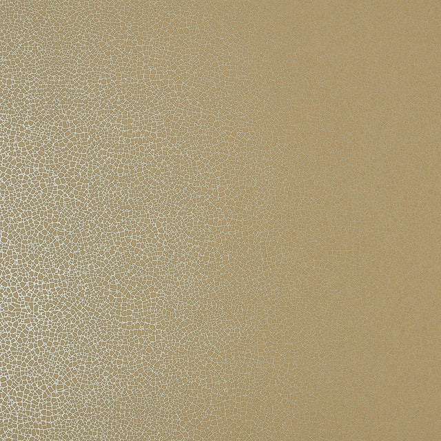 Maxwell EMILE (WP) #07 MUSTARD Wallpaper