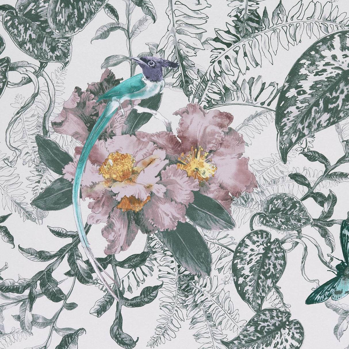 Maxwell HEDGEROW (WP) #05 CHAMOMILE Wallpaper