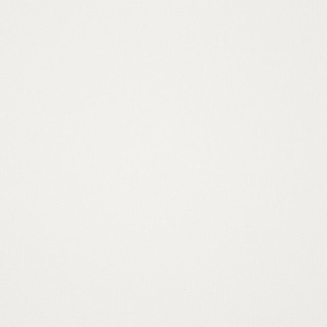 Maxwell BRANCUSI #109 WINTER Drapery Fabric
