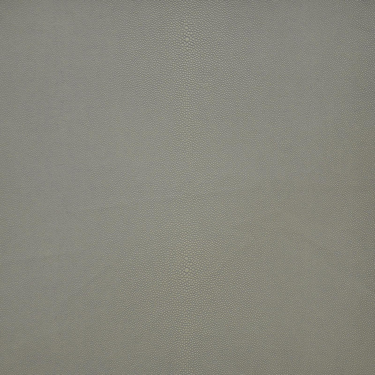 Maxwell BEWITCHED #256 CHIA Fabric