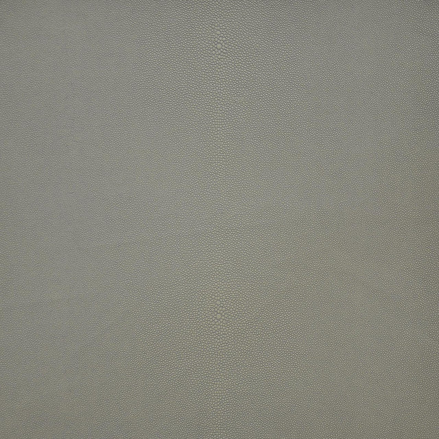 Maxwell BEWITCHED #256 CHIA Fabric