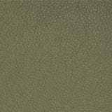Maxwell CLASSIC(CONTRACT VINYL) #036 SAGE Fabric