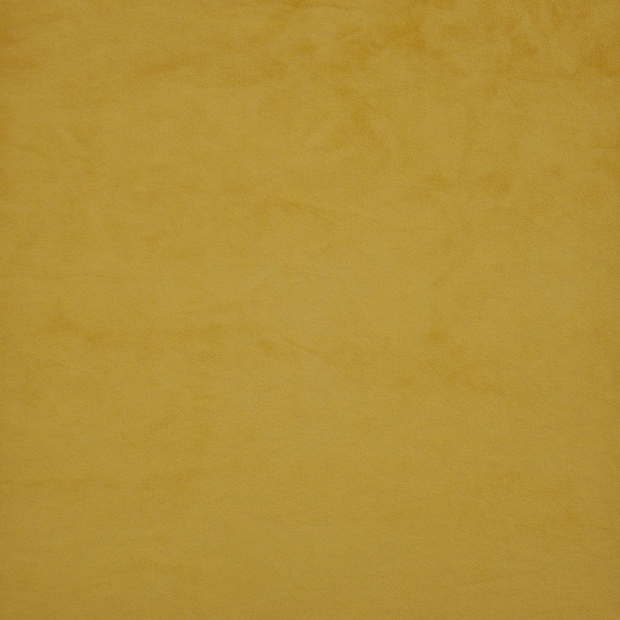 Maxwell FIRENZE #535 HONEY BEE Fabric