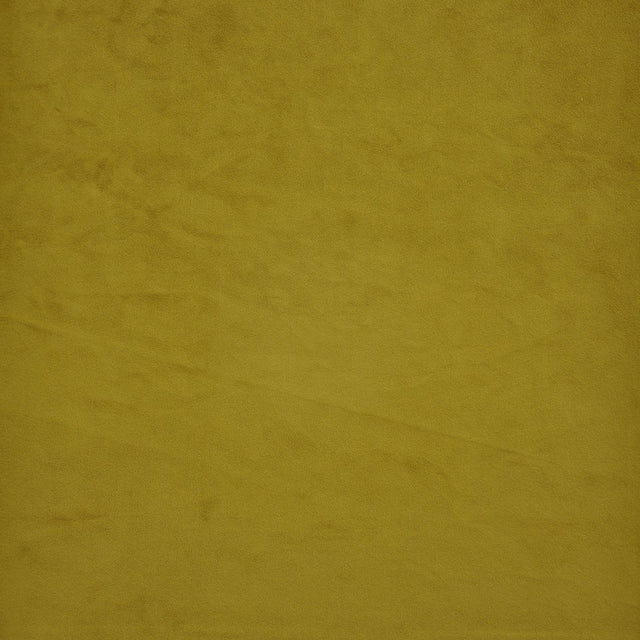 Maxwell FIRENZE #536 ACID Fabric