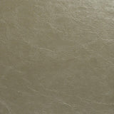 Maxwell GLAZE #107 PUMICE Fabric