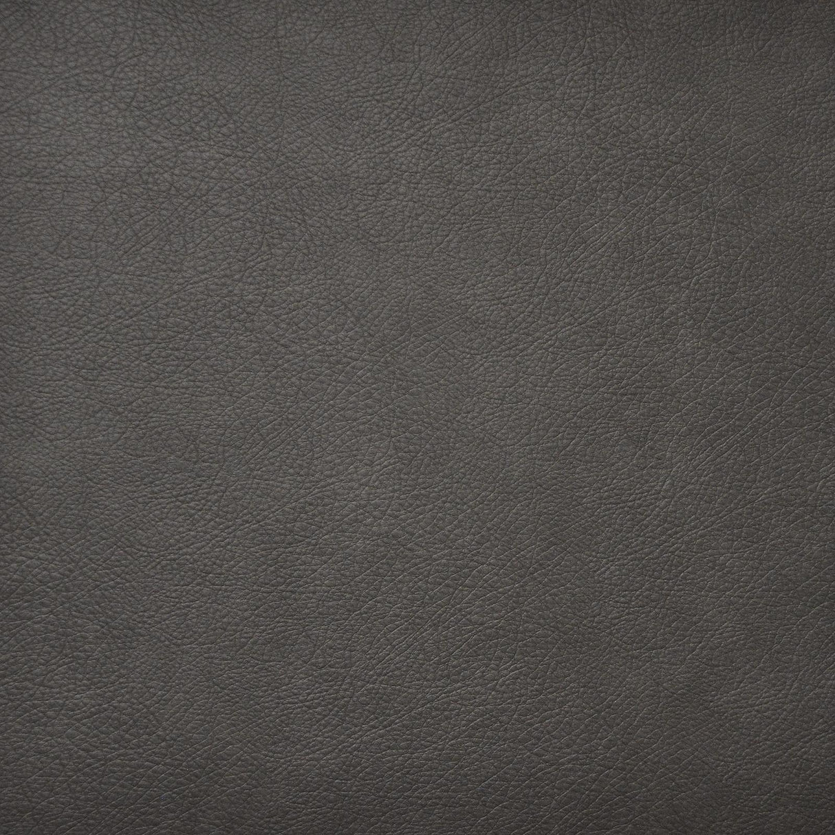 Maxwell HIDALGO #711 HUSKY Fabric