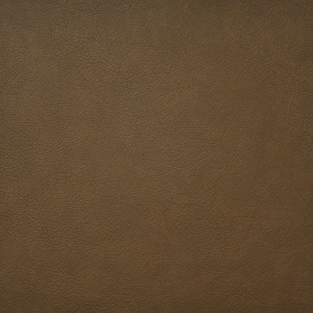 Maxwell HIDALGO #720 WHISKEY Fabric