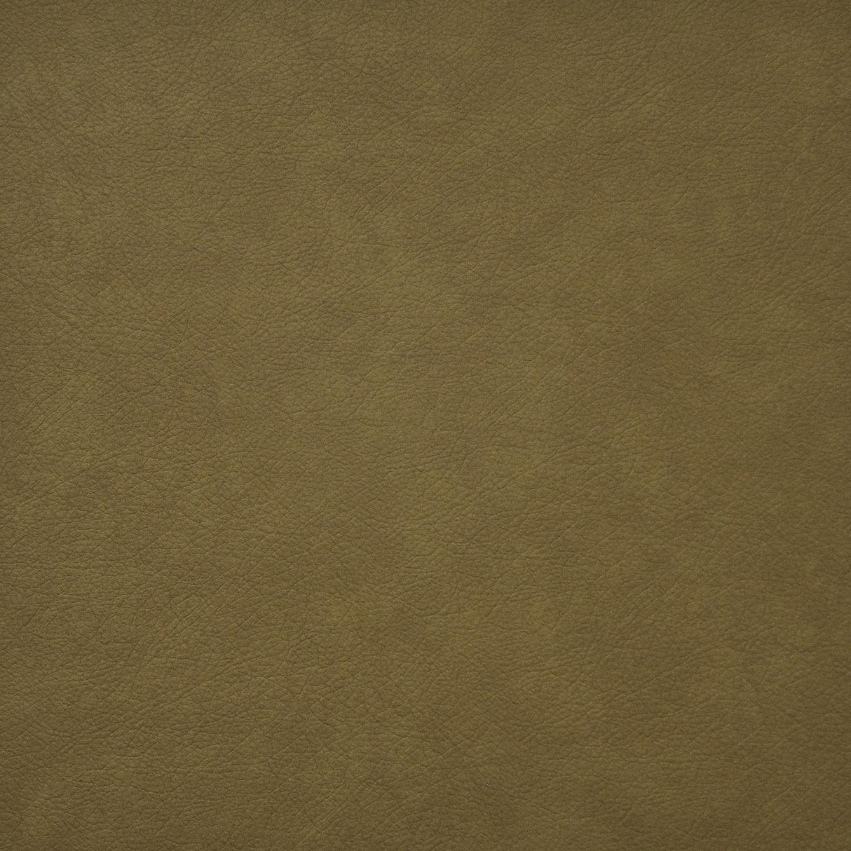 Maxwell HIDALGO #725 HONEY Fabric