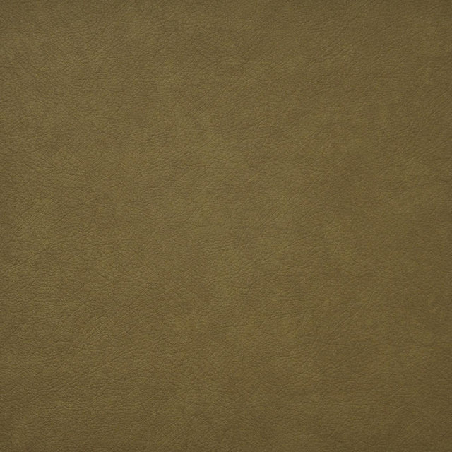 Maxwell HIDALGO #725 HONEY Fabric