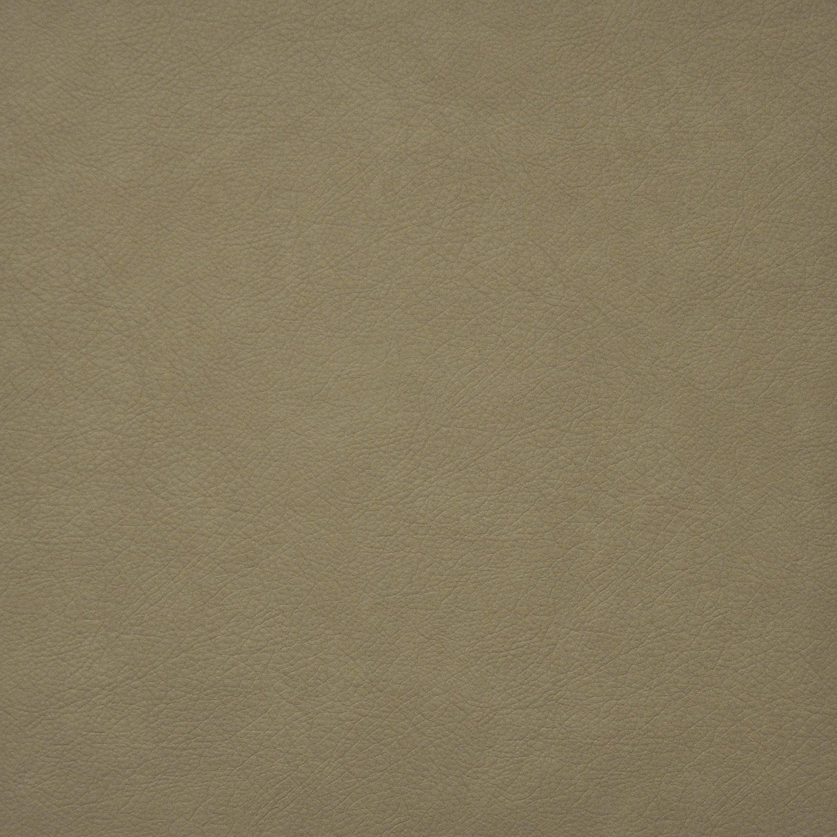Maxwell HIDALGO #737 LATTE Fabric