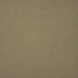 Maxwell HIDALGO #737 LATTE Fabric