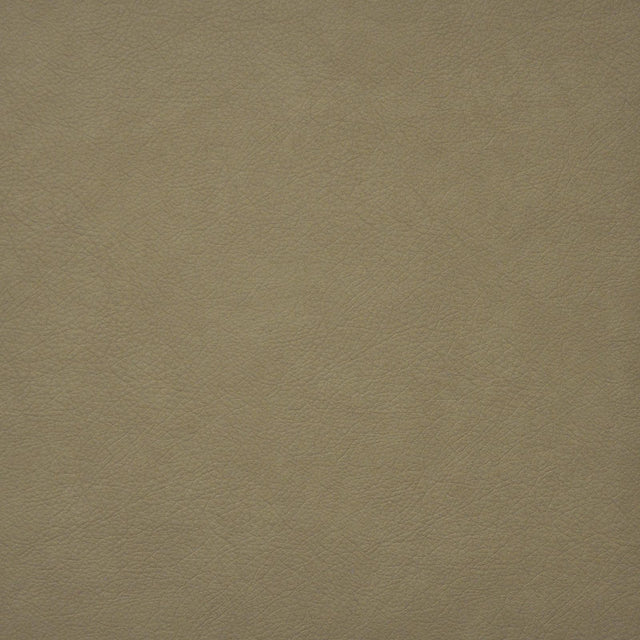 Maxwell HIDALGO #737 LATTE Fabric