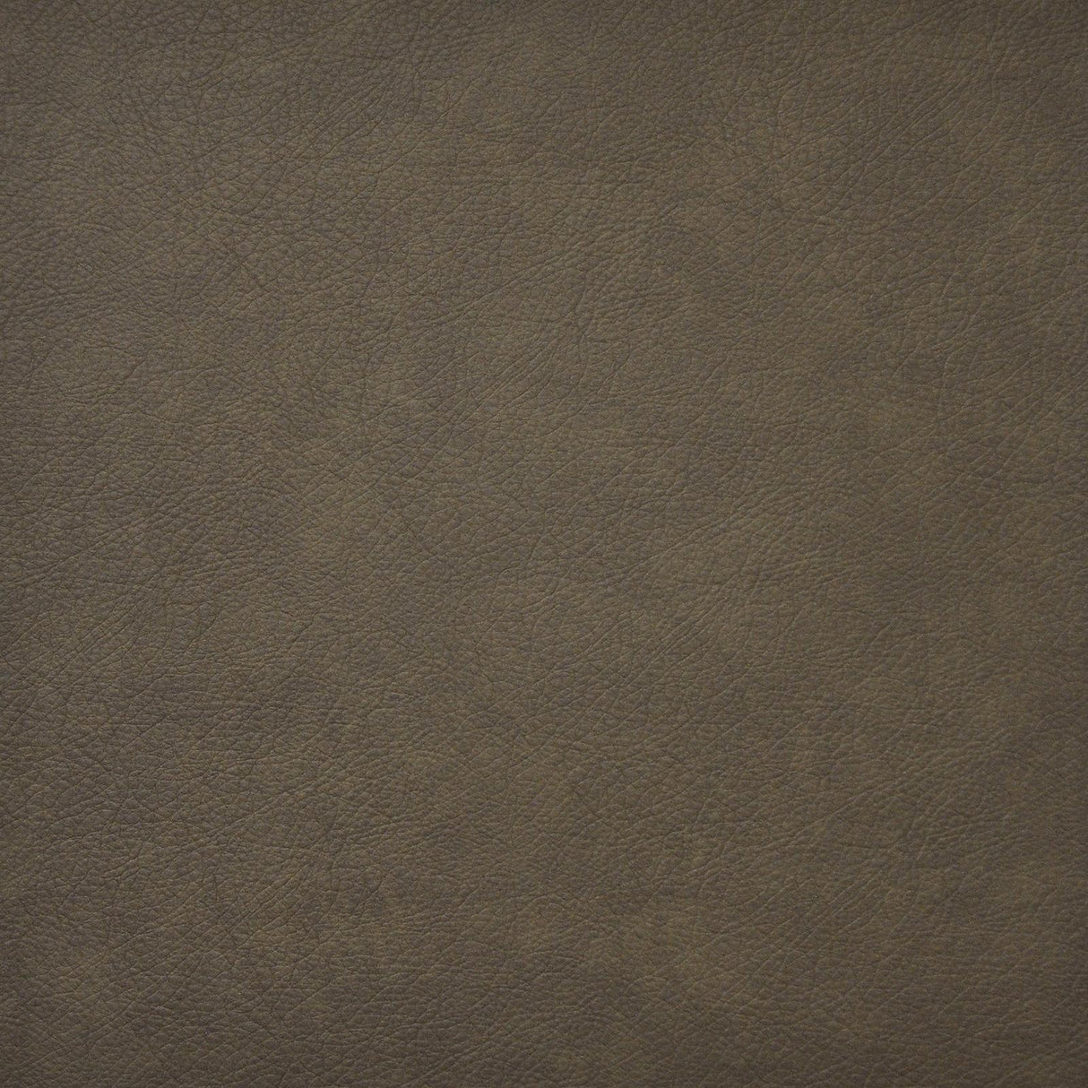 Maxwell HIDALGO #740 COYOTE Fabric