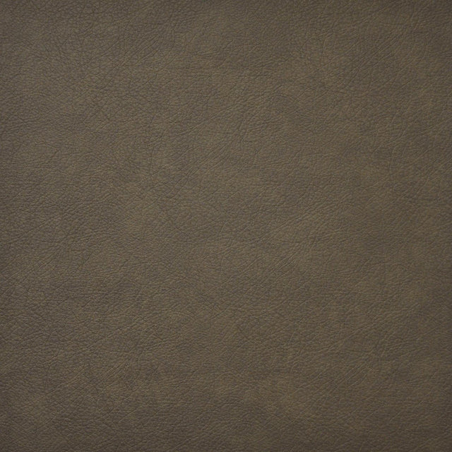 Maxwell HIDALGO #740 COYOTE Fabric