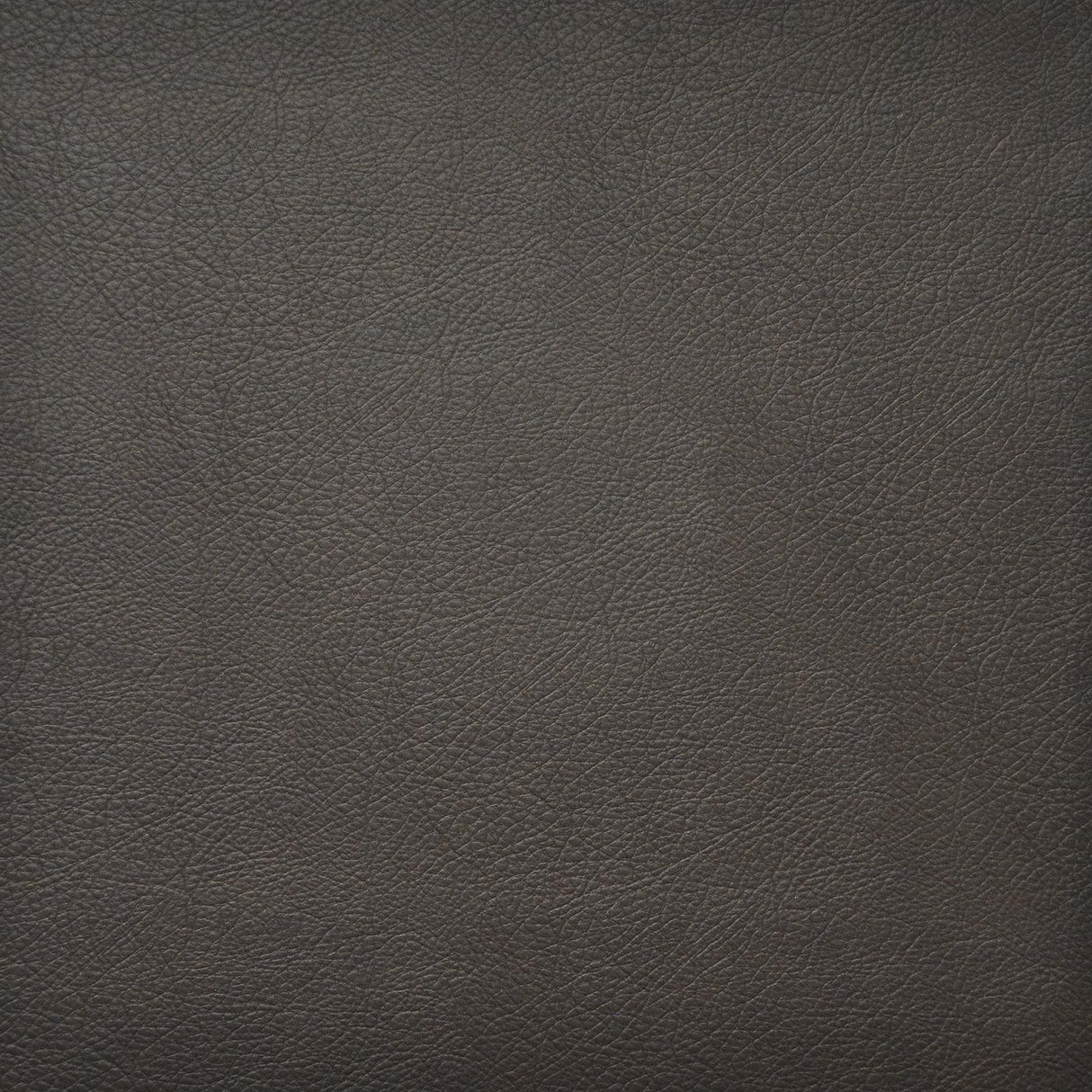 Maxwell HIDALGO #743 ESPRESSO Fabric