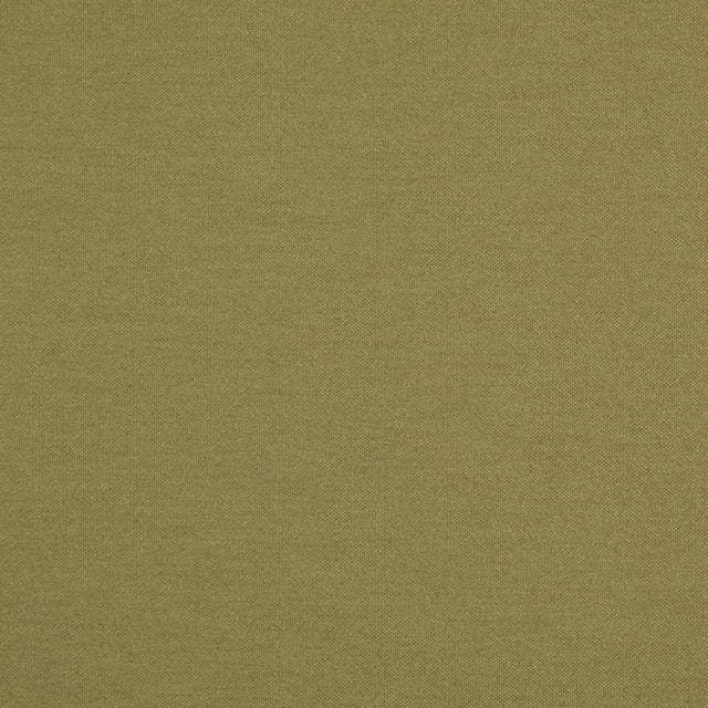 Maxwell HATHA #05 LINDEN Upholstery Fabric