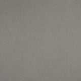 Maxwell ICON #707 MINNOW Fabric